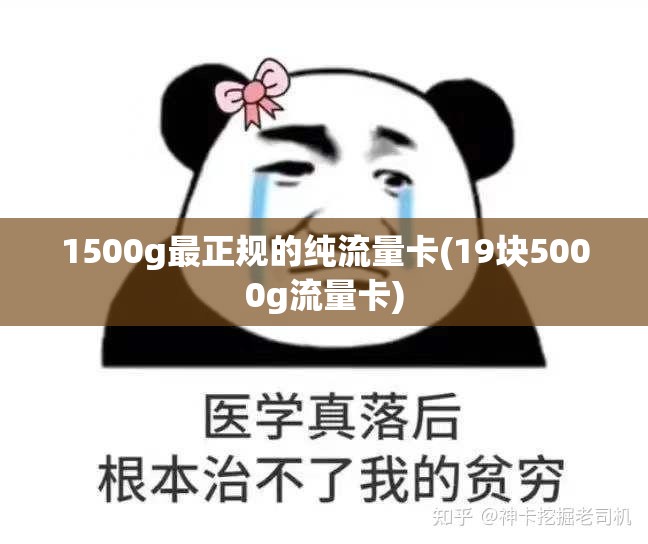 叫我大掌柜琅琊榜金陵风云答案是什么