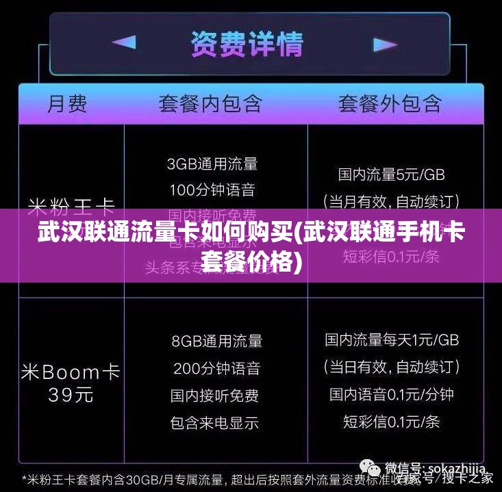 欧美人与人动物2020：探索自然与文化的交融