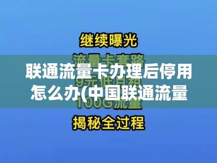 凸凸凹bbwbbwbbwbbw：减脂瘦肚首选，健身操开启你的美好生活！