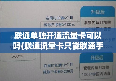 洛克王国皮毛护理活动攻略-皮毛护理活动怎么玩