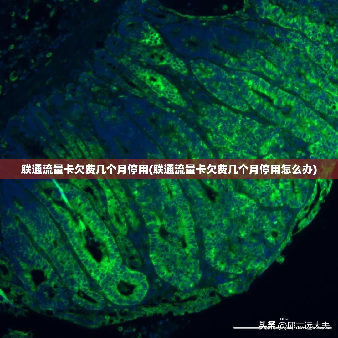 百变大侦探秾华客梦凶手是谁-秾华客梦剧本杀真相答案解析