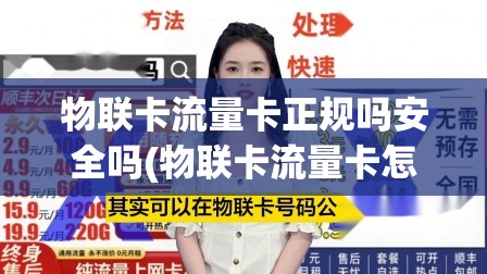 下一站江湖2石碑丹鹤任务怎么做 - 石碑丹鹤任务攻略