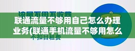 崩坏星穹铁道罗刹折断的龙骨怎么搭配