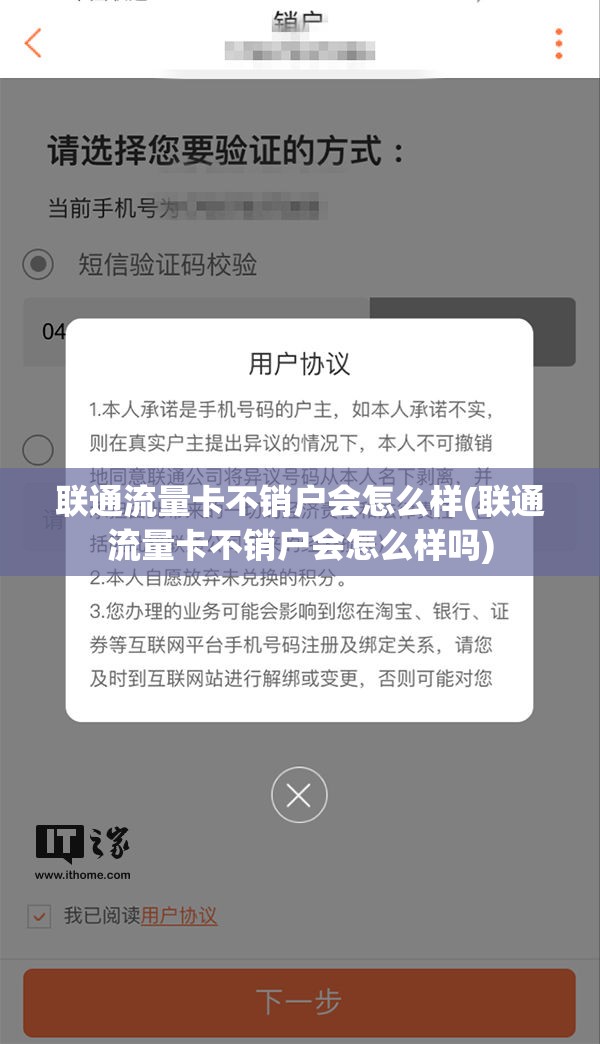 金铲铲之战s11铁王八风女阵容怎么配：利用游戏中的强化系统来提升装备和武器的性能