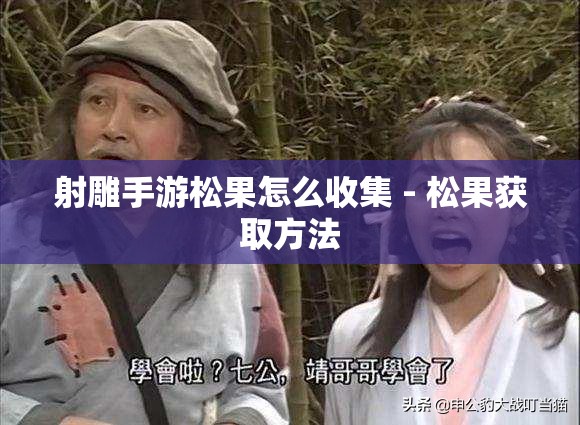 射雕手游松果怎么收集 - 松果获取方法