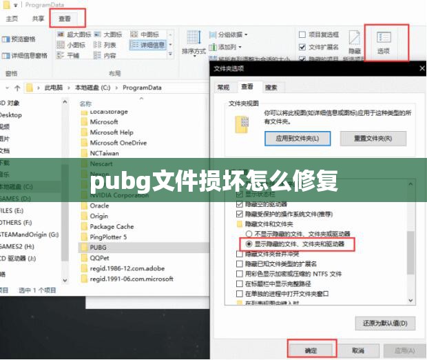 pubg文件损坏怎么修复