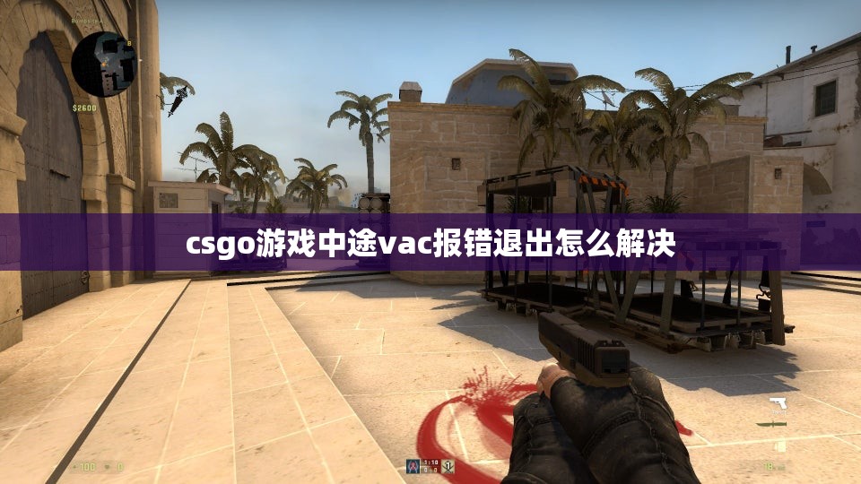 csgo游戏中途vac报错退出怎么解决