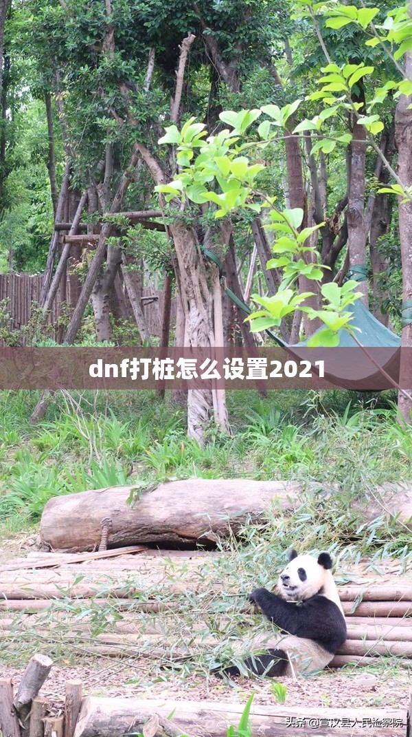 dnf打桩怎么设置2021