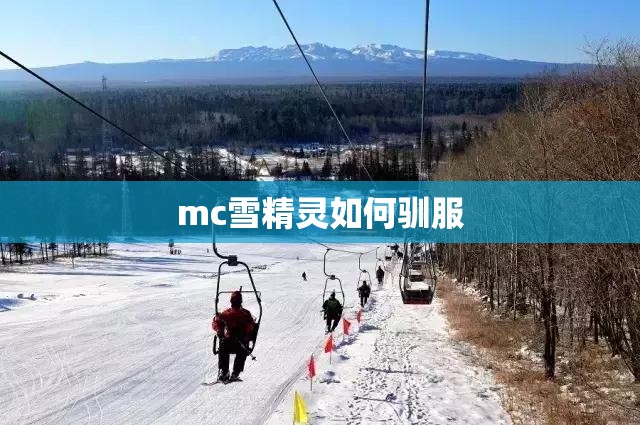 mc雪精灵如何驯服