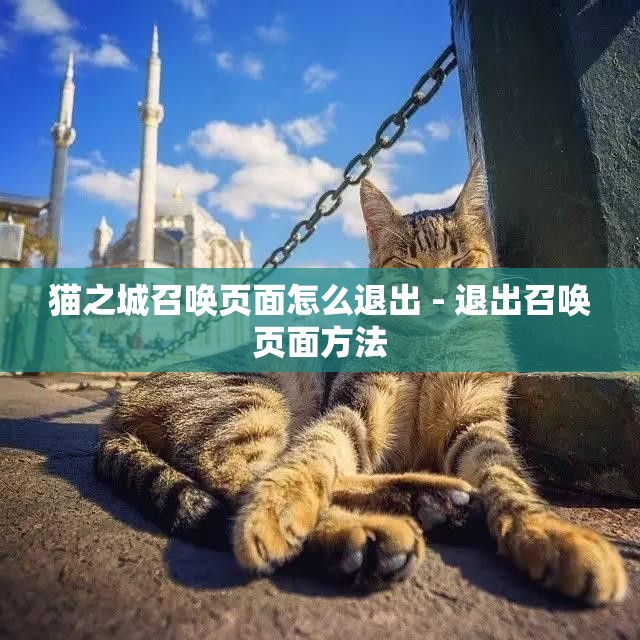 猫之城召唤页面怎么退出 - 退出召唤页面方法