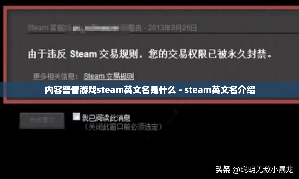 内容警告游戏steam英文名是什么 - steam英文名介绍