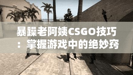 暴躁老阿姨CSGO技巧：掌握游戏中的绝妙窍门！