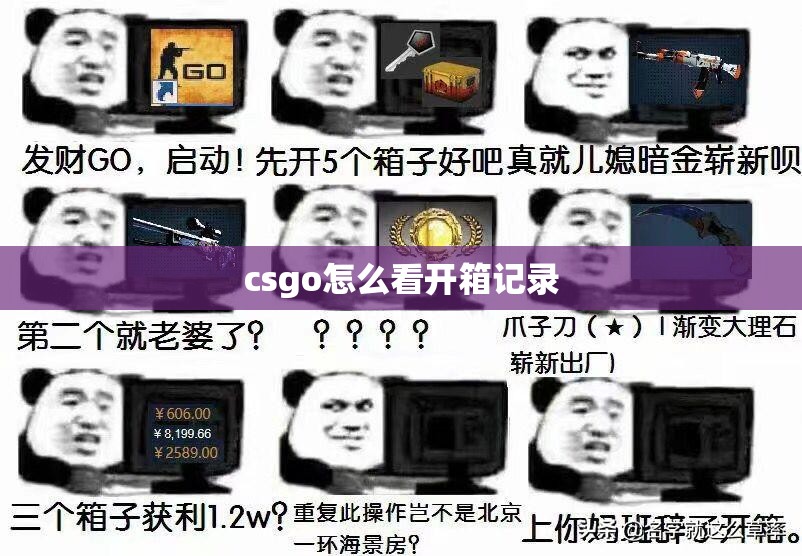 csgo怎么看开箱记录