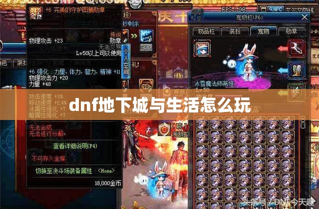 dnf地下城与生活怎么玩